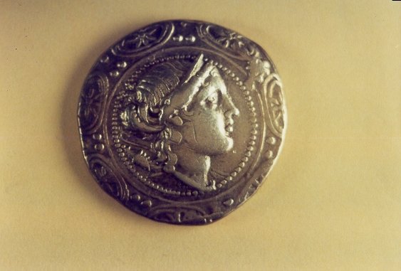 Photograph